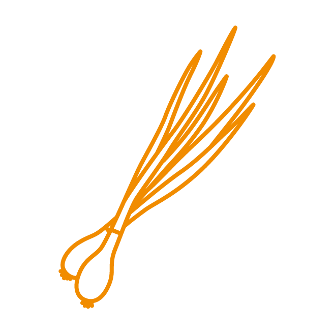 Pictogramme cipolotte