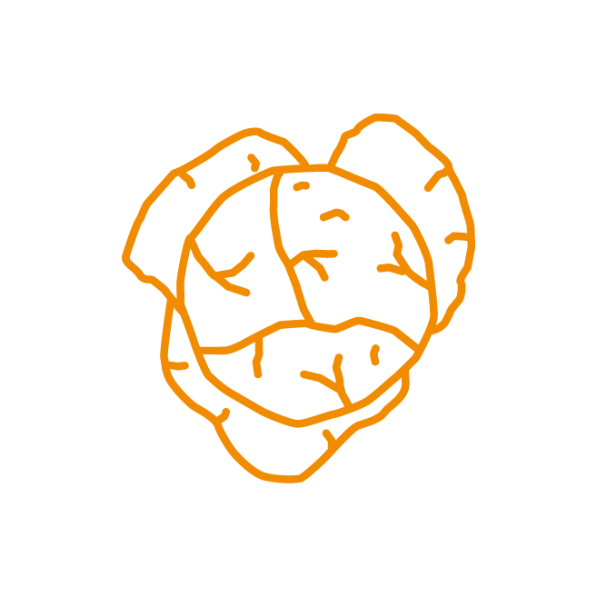 Pictogramme salade