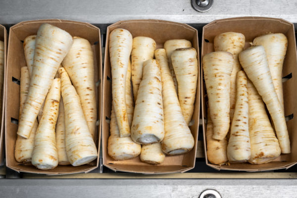 Photo des légumes Biscotte