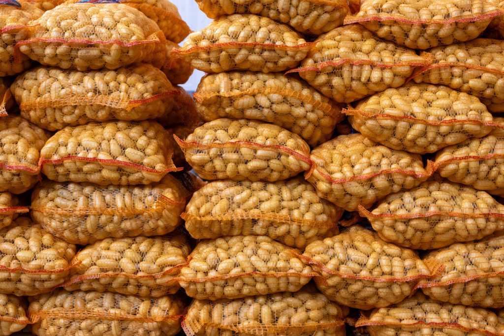 Photo des légumes Biscotte