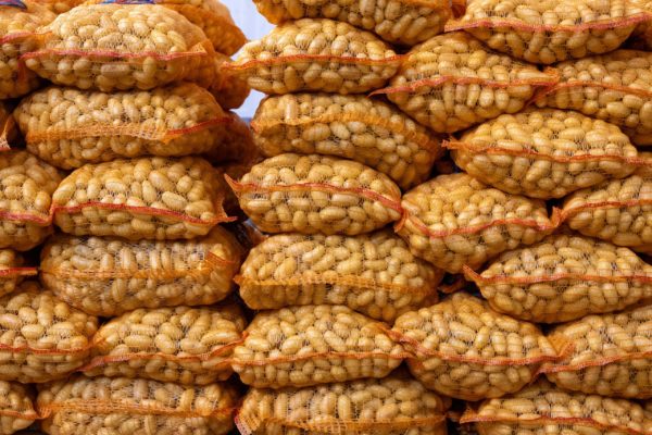 Photo des légumes Biscotte