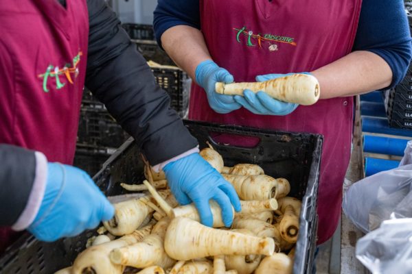 Photo de la préparation et du conditionnement des légumes Biscotte