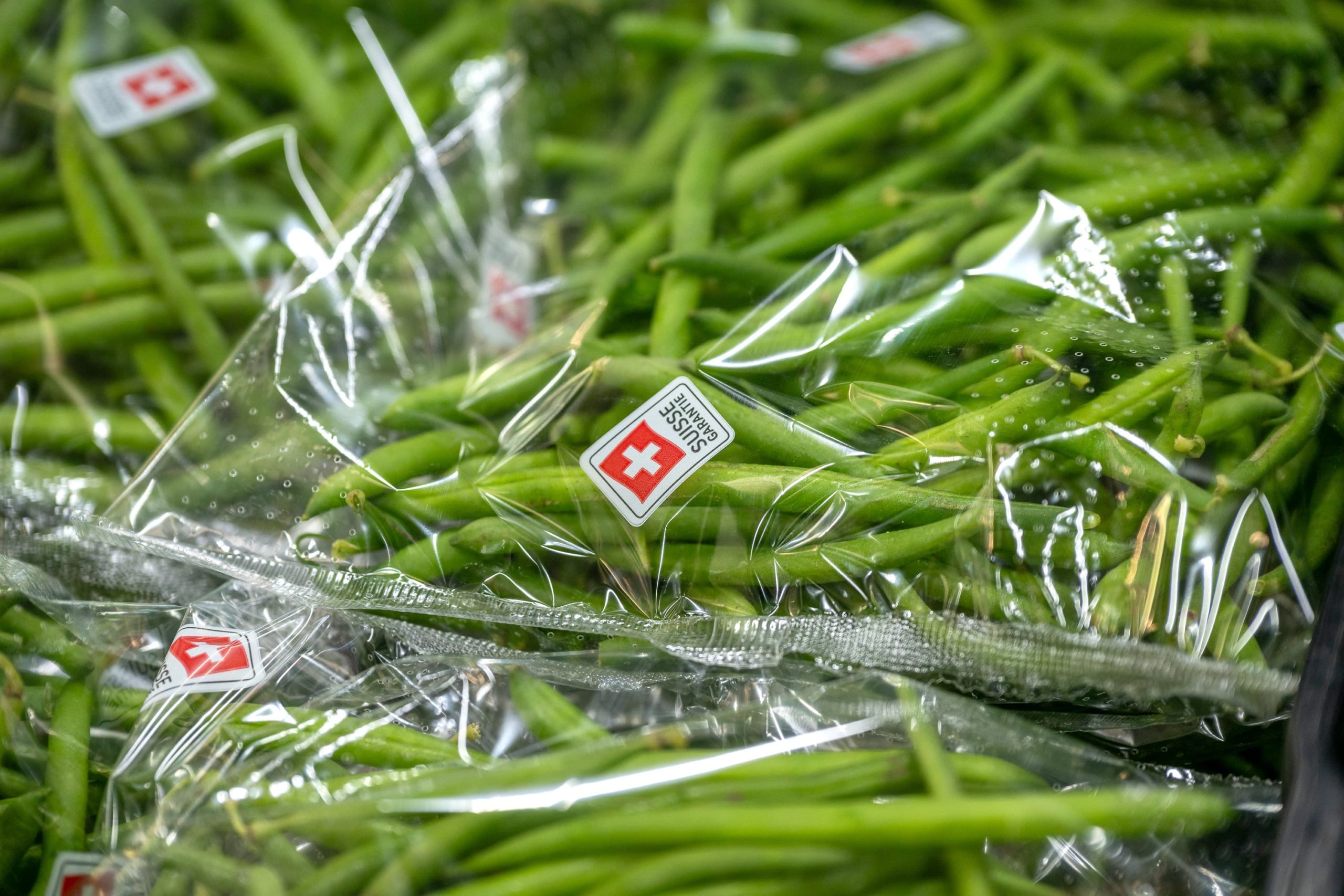 Photo des légumes Biscotte