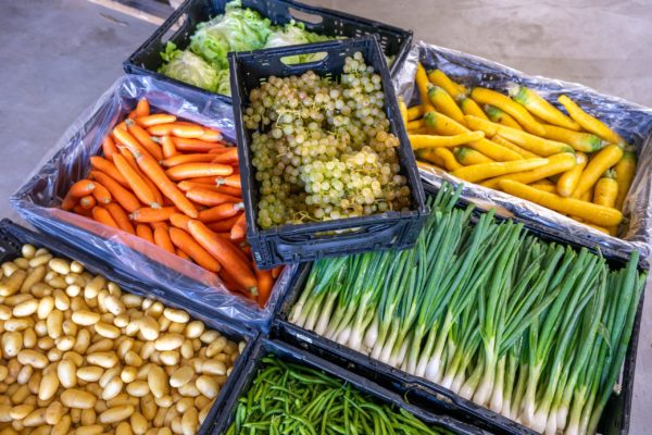 Photo des légumes Biscotte