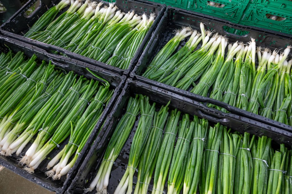 Photo des légumes Biscotte