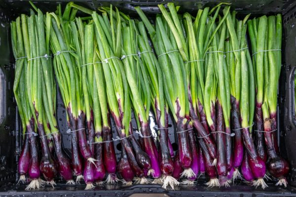 Photo des légumes Biscotte