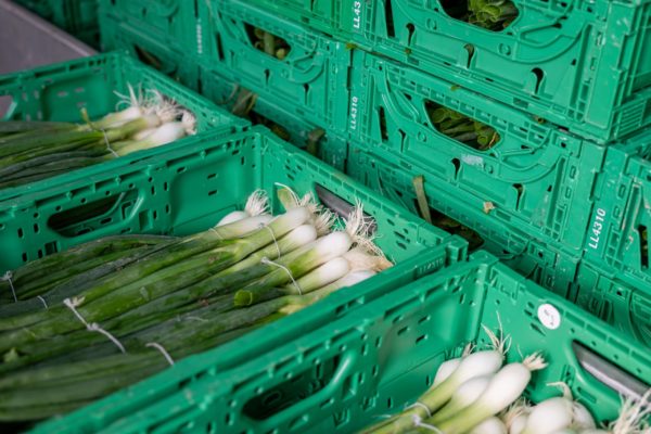 Photo de la préparation et du conditionnement des légumes Biscotte
