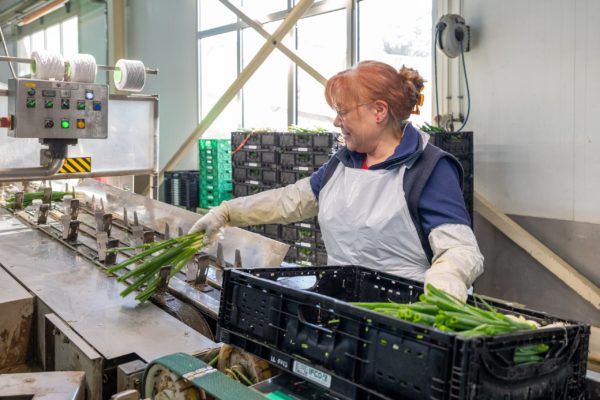 Photo de la préparation et du conditionnement des légumes Biscotte