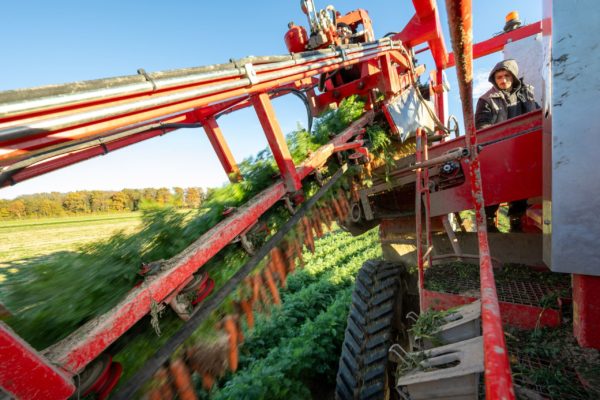 Photo des champs et culture de Biscotte Fruits et Légumes