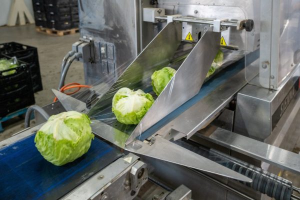 Photo de la préparation et du conditionnement des légumes Biscotte