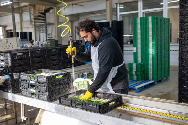 Photo de la préparation et du conditionnement des légumes Biscotte