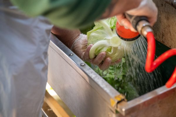 Photo de la préparation et du conditionnement des légumes Biscotte