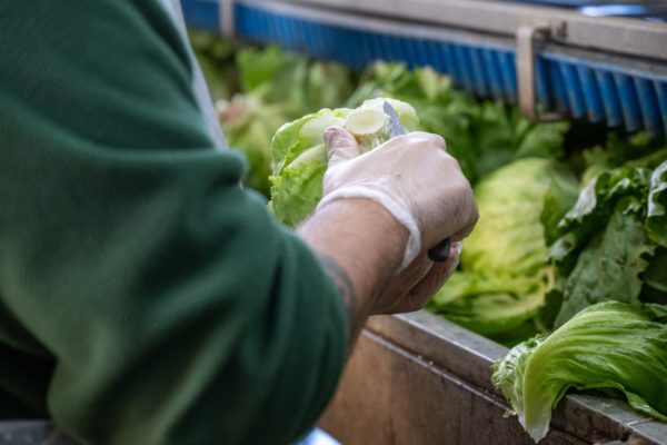 Photo de la préparation et du conditionnement des légumes Biscotte