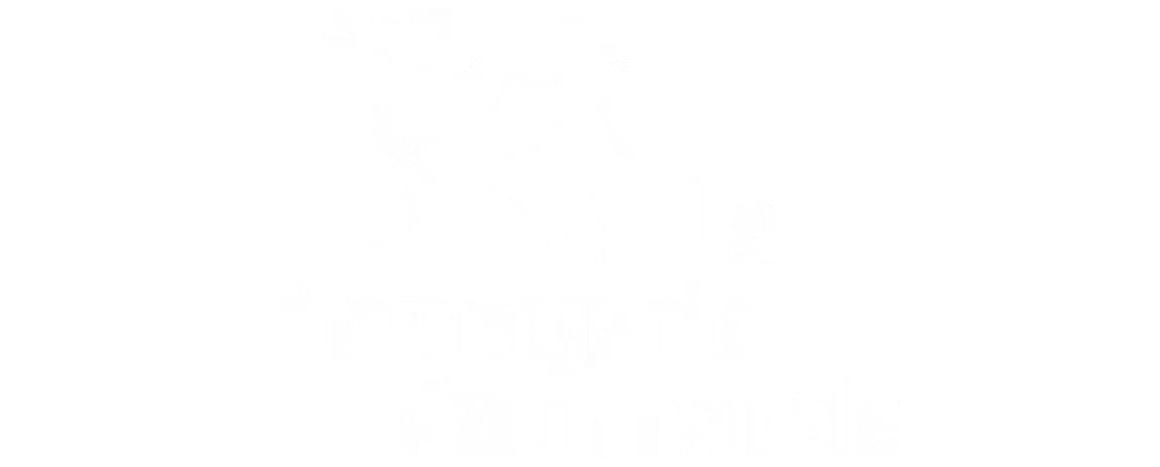 Logo partenaires