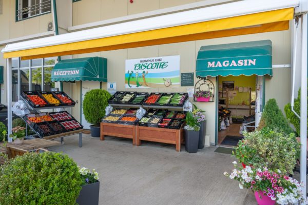 Magasin Biscotte SA1