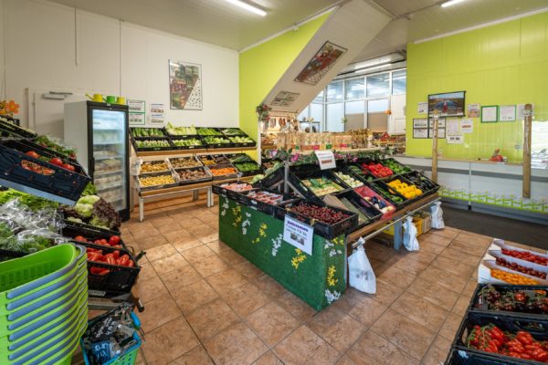 Magasin Biscotte SA10