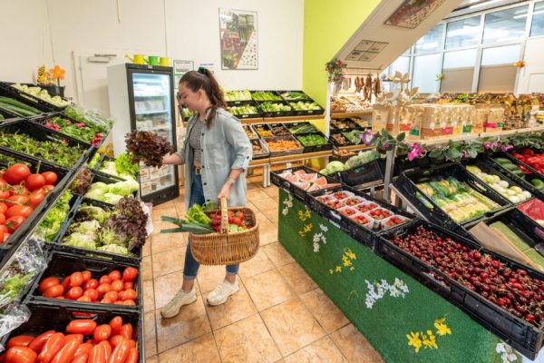 Magasin Biscotte SA11