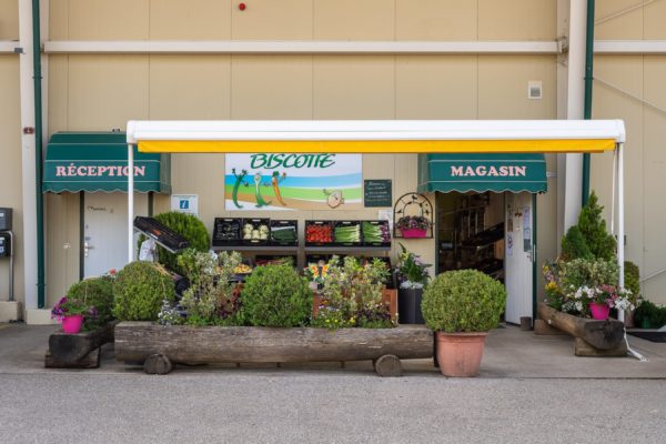Magasin Biscotte SA17